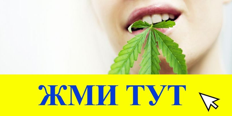 Купить наркотики в Светлом